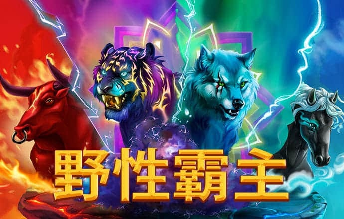 哈哈体育app官网